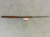 Winchester Model 36 Bolt Action 9 M/M Rim Fire Shotgun - 15 of 19