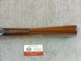 Winchester Model 1901 10 Ga. Lever Action Shotgun In Fine Original Condition - 12 of 22
