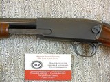 Winchester Model 61 Early Production Standard Rifle With Tang Sight - 8 of 19