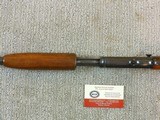 Winchester Model 61 Early Production Standard Rifle With Tang Sight - 17 of 19