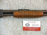 Winchester Model 62 With a Correct Original Colorful Box - 7 of 22