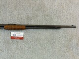 Winchester Model 62 With a Correct Original Colorful Box - 8 of 22
