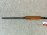 Winchester Model 62A Standard 22 Pump Rifle In Fine Condition - 18 of 19