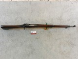 Winchester British Pattern 14 Rifle In Mint Unissued Condition - 12 of 24