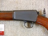 Winchester Model 63 Early Carbine In Very Fine Condition - 9 of 20