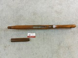 Winchester Early 