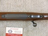 Winchester Model 70 Standard Grade In 22 Hornet Near New Condition - 17 of 18