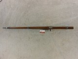 Springfield Armory Model 1898 Krag Jorgensen Military Rifle In Original Condition - 15 of 18