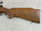 Winchester Model 70 Pre 64 Featherweight Rifle In Near New Condition In 30-06 Chambering - 6 of 16