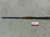 Winchester Model 1906 Expert In 22 Short-Long And Long Rifle With Tang Sight In Fine Condition - Image 14 of 14