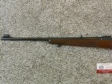 Winchester Model 70 Featherweight Pre 64 In 243 Winchester In Almost New Condition - Image 8 of 16