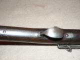 1884 Springfield Saddle Ring Carbine - 12 of 14