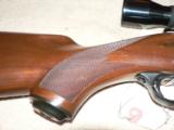 Ruger M77 compact 243 - 9 of 11