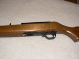 Ruger 10/22 semi auto - 12 of 14