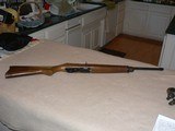 Ruger 10/22 semi auto - 1 of 14