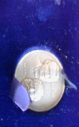 S&w 125th anaversary model 25-3 - 5 of 15