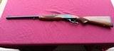 Ruger #1 416 Remington magnum