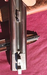 Union Amera Grulla Premier Royal Grade 217 SL - 5 of 12