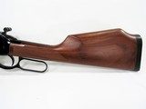 HENRY VARMINT EXPRESS 17HMR - 7 of 17