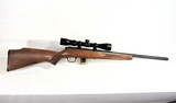 SAVAGE 93R17 17HMR