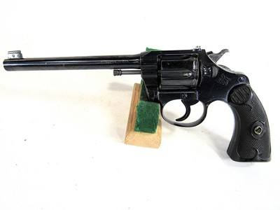 COLT POLICE POSITIVE TARGET 22 WRF