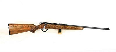 GLENFIELD 10 22LR