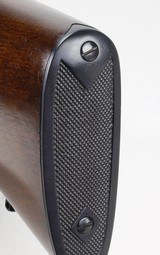 Winchester Model 71 Standard Rifle .348 Win.(1956) - 12 of 25