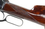 Winchester Model 1886 Takedown Rifle .33 WCF (1906) CODY LETTER - 11 of 25