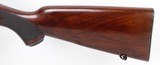 Winchester Model 43 Deluxe Bolt Action Rifle .22 Hornet (1954-55) SHARP! - 7 of 25