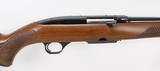 Winchester Model 100 Semi-Auto Rifle .284 Win. (1967) NICE - 5 of 25