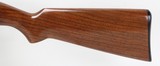Remington Model 17 Slide Action Shotgun 20Ga. (1925) VERY NICE!!! - 8 of 25