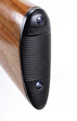 Remington Model 17 Slide Action Shotgun 20Ga. (1925) VERY NICE!!! - 14 of 25