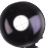 Ruger # 1 Varmint Model 22-250 - 24 of 24