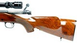 WINCHESTER MODEL 670 chambered in .243 WIN, BEAUTIFUL WOOD!!! - 13 of 21