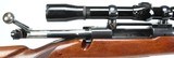 Winchester Model 70 circa 1948, chambered in .270 WCF with Bushnell Scopemaster 6x!!! - 19 of 24