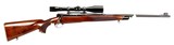 Winchester Model 70 circa 1948, chambered in .270 WCF with Bushnell Scopemaster 6x!!! - 2 of 24