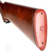 RUGER RED LABEL, 20GA, Mfg: 1987 - 7 of 22