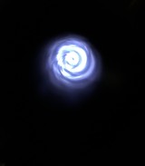 HOLY GRAIL Musuem Quality Winchester Model 65 .218 Bee Rifle Time Capsule! Collector's Dream! - 20 of 20