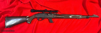 Remington 10C GROOOVY!!
.22