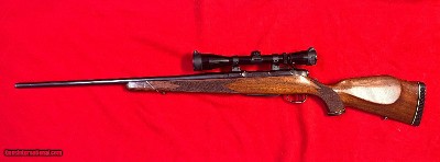Colt Sauer 300 win