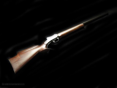 Custom BSA Martini Varmint 219 Don Wasp