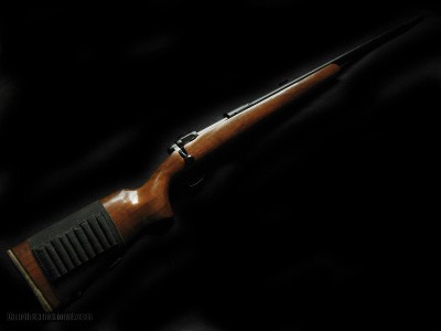 Savage 6mm-284 8.5 twist