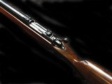 Winchester 70 pre 64 custom 22-250 bull barrel - 5 of 5