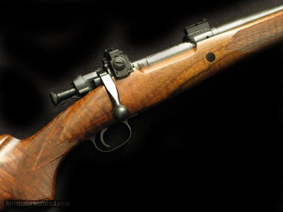 Rich Cole Custom Springfield 35 Whelen Imp - Image 3 of 6
