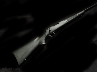 Remington 700 .223 Black Syn