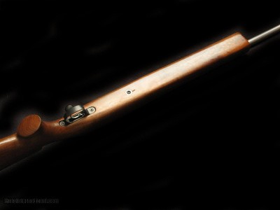Custom Rem 700 20 Tactical - Image 3 of 5