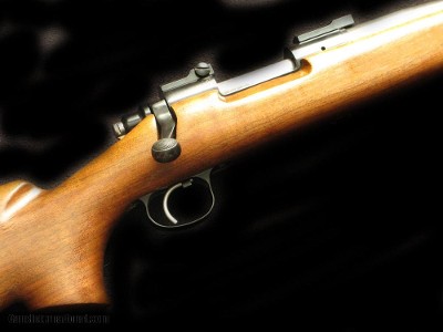 Custom Rem 700 20 Tactical - Image 2 of 5