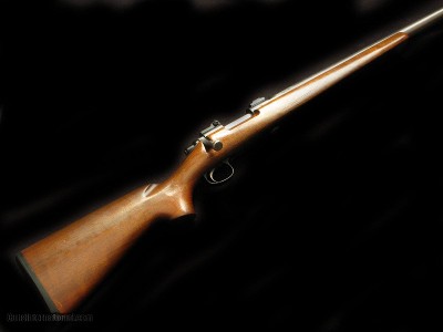 Custom Rem 722 20 Tac Jewell