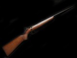 Remington Target Master 510P
22lr Aperture - 5 of 5