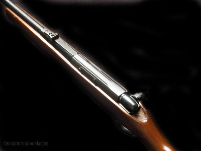 Remington 591M 5mm RF Mag